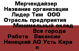 Мерчендайзер › Название организации ­ Лидер Тим, ООО › Отрасль предприятия ­ BTL › Минимальный оклад ­ 17 000 - Все города Работа » Вакансии   . Ненецкий АО,Усть-Кара п.